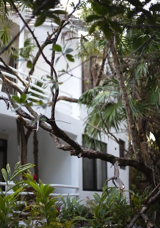 Casa Ambar Hotel & Boutique Tulum (Adults Only) 3*,  メキシコ